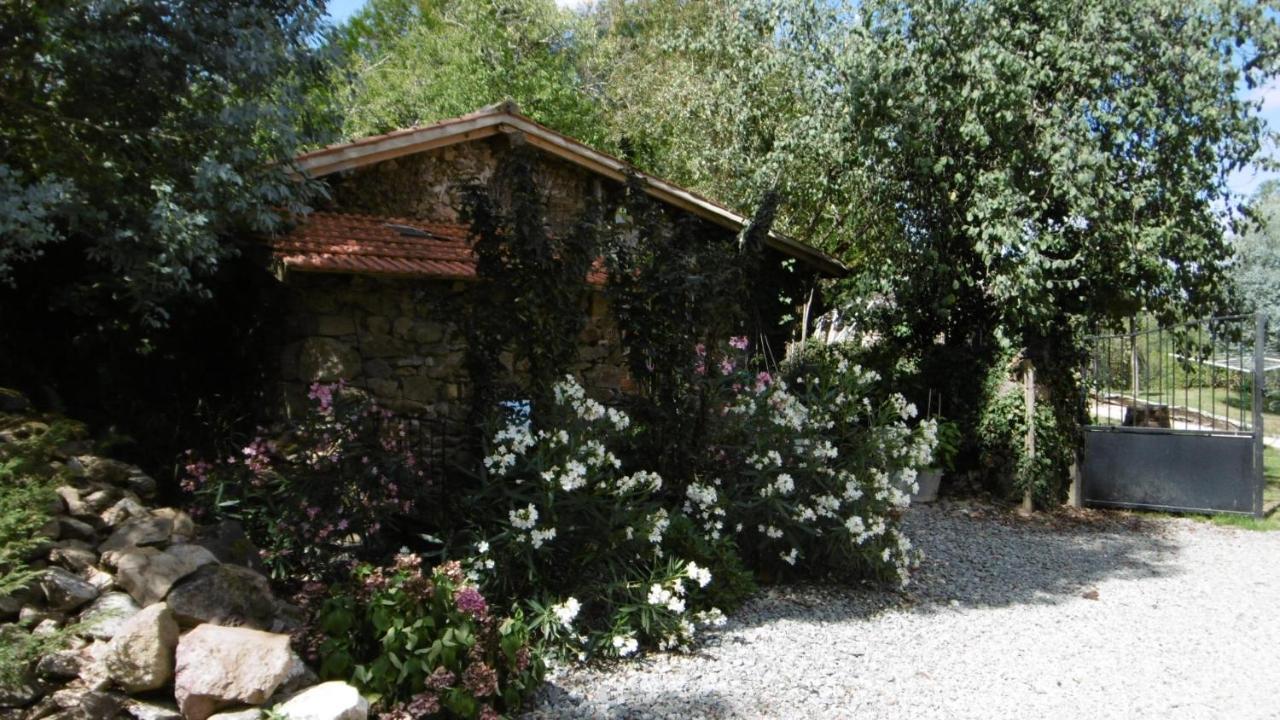 Bed and Breakfast Lazy Days Rancon Exteriér fotografie